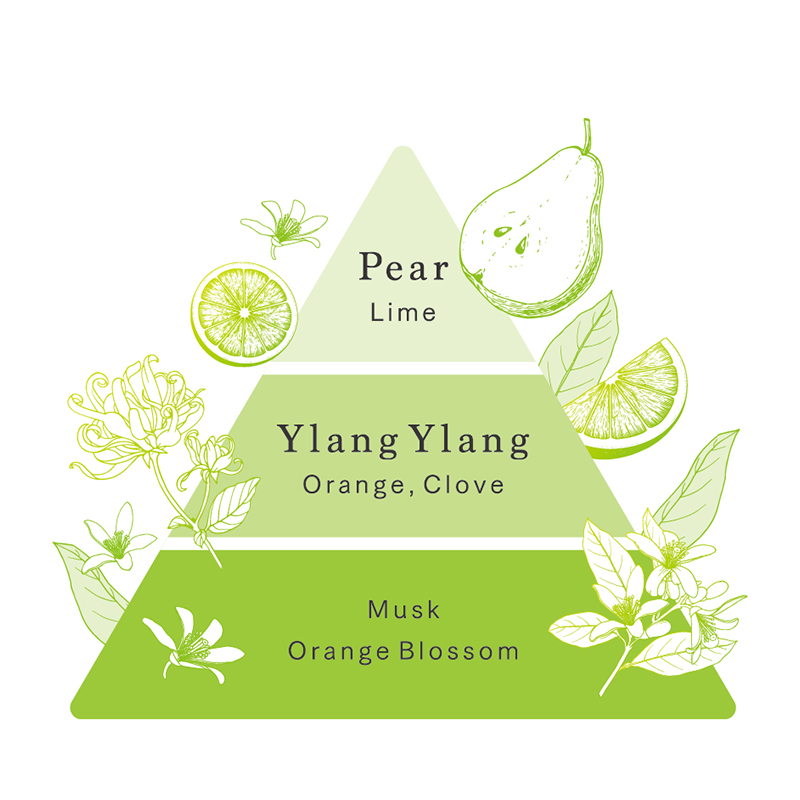 ピトレティカ キューティクル プロテクト パック香り